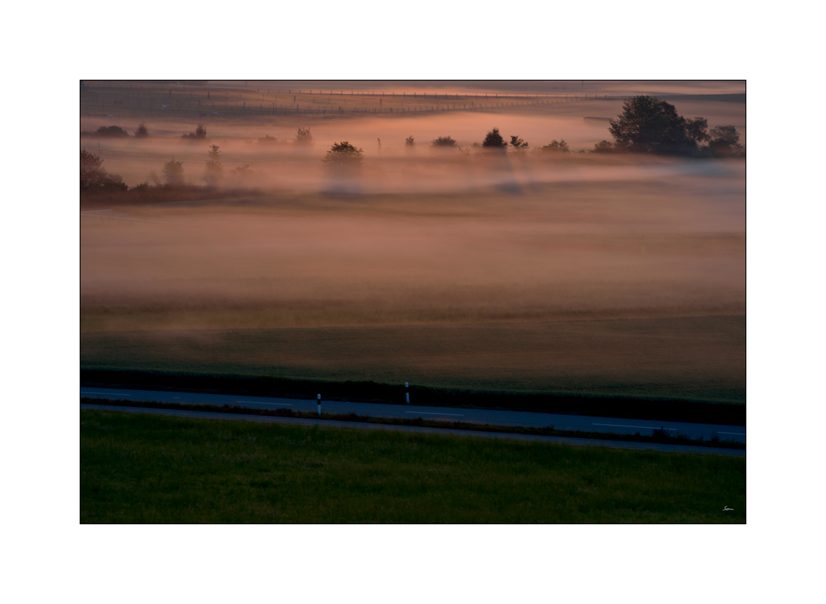 MorgenPZ1 2100