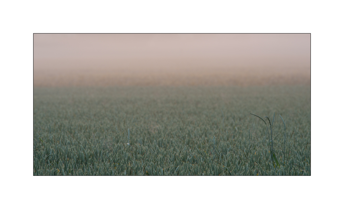 MorgenPZ1 2106