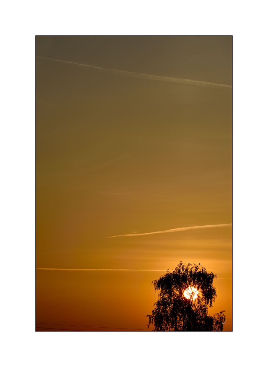 MorgenPZ1 2113