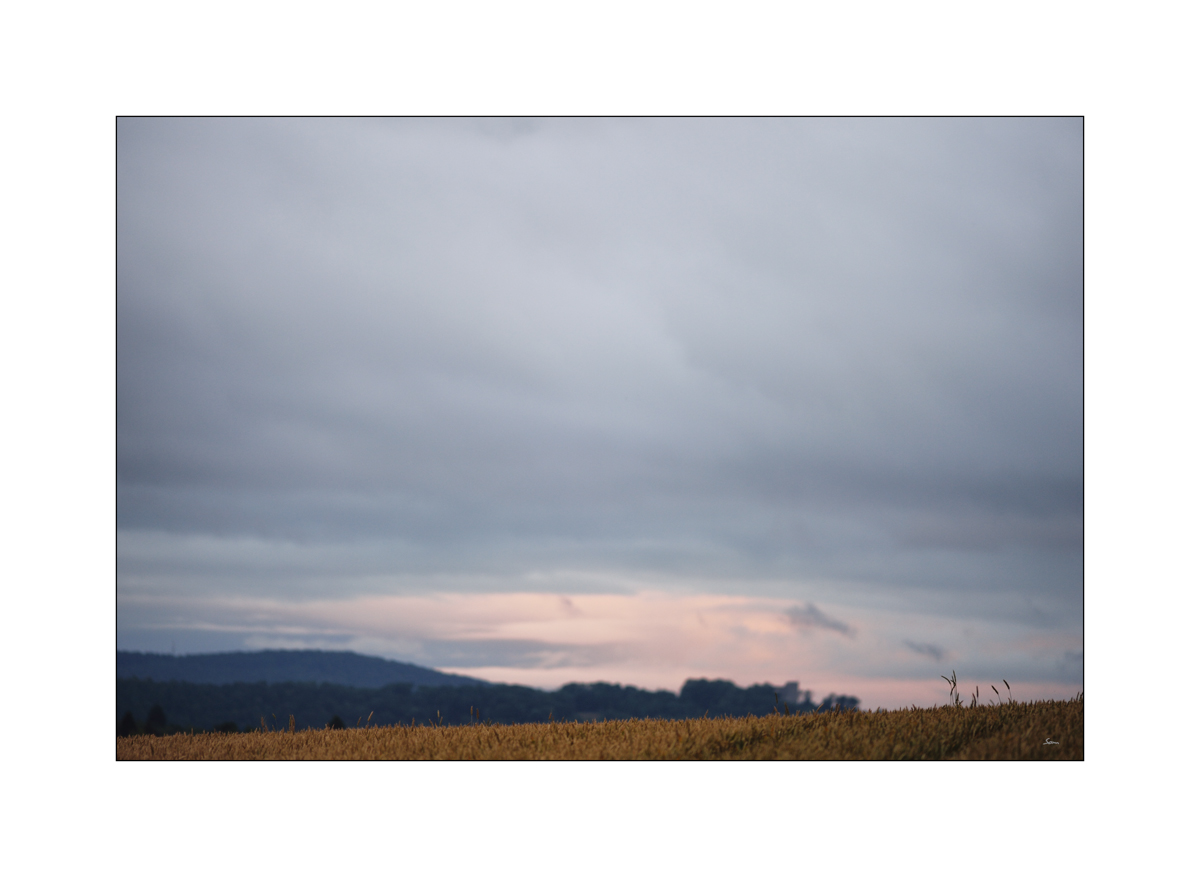 MOrgenPZ1 2185