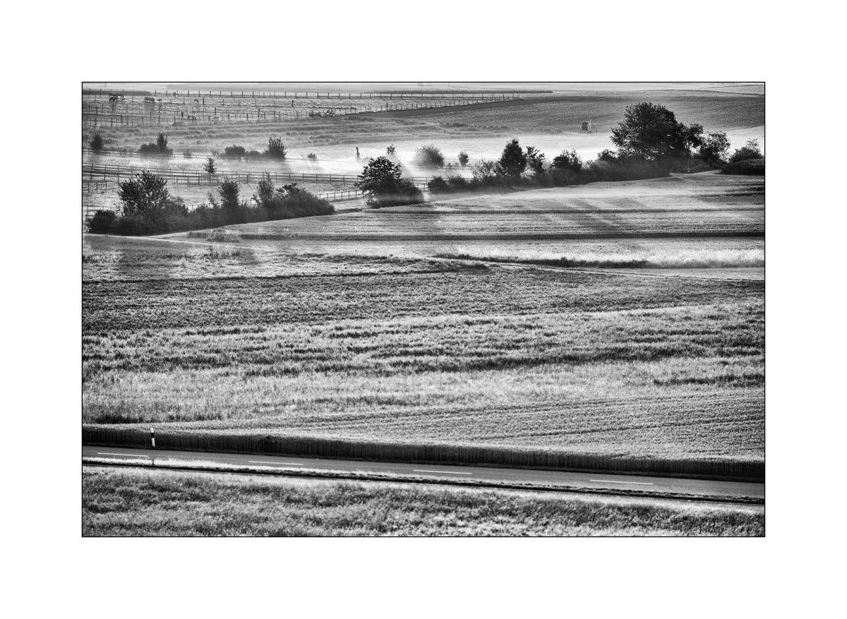 MorgenPZ1 2192