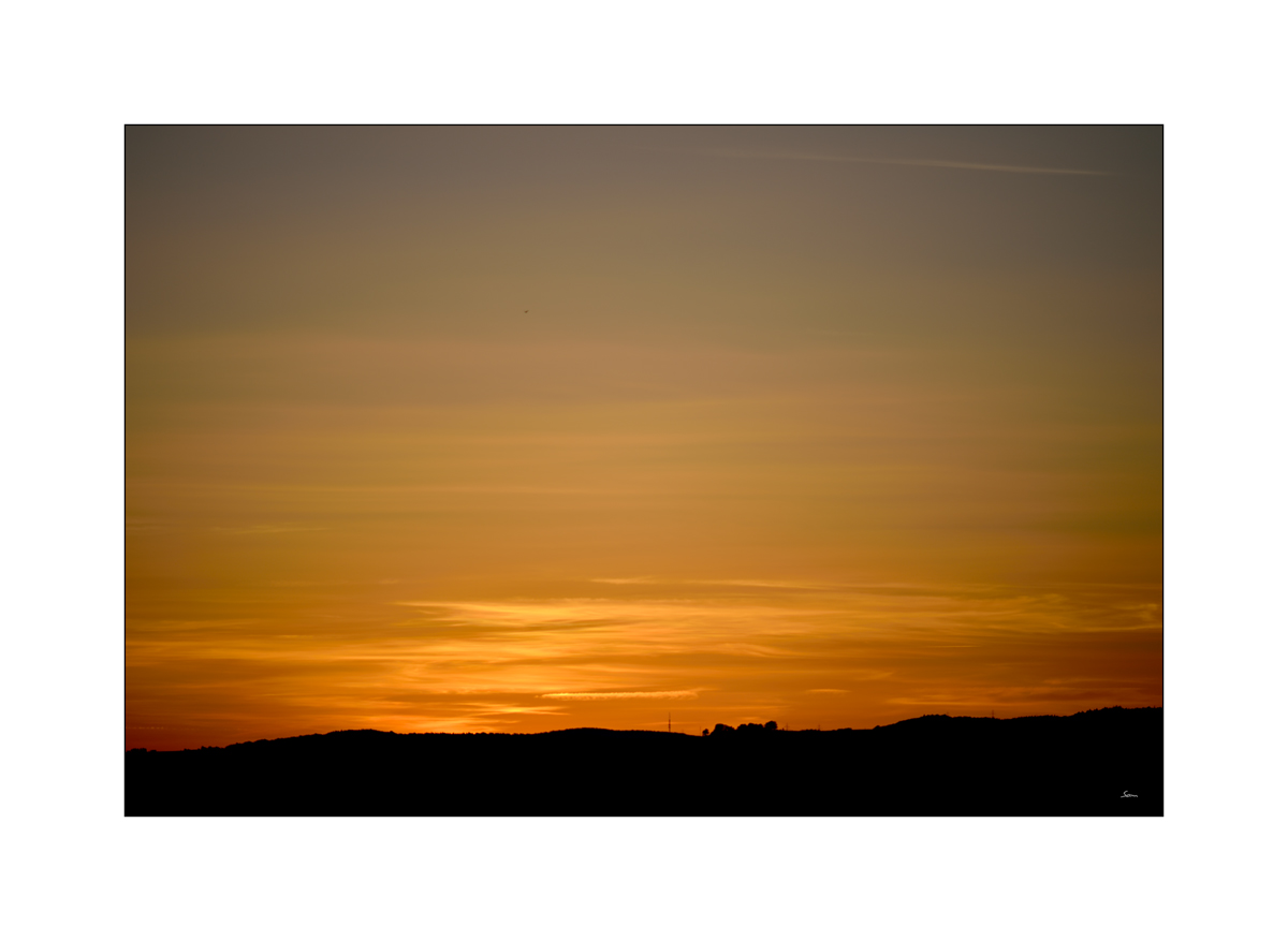 MorgenPZ1 2195
