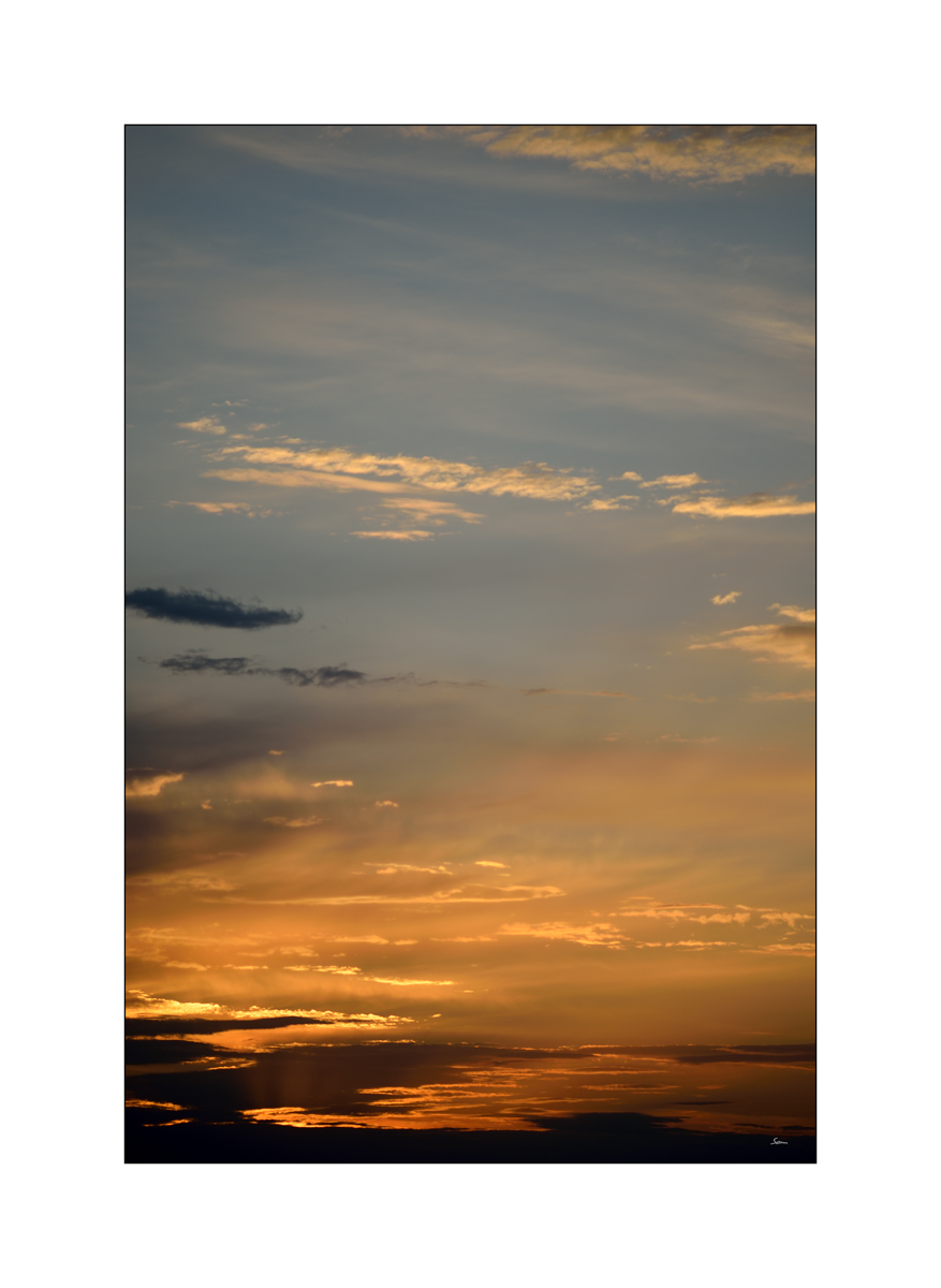MorgenPZ1 2206
