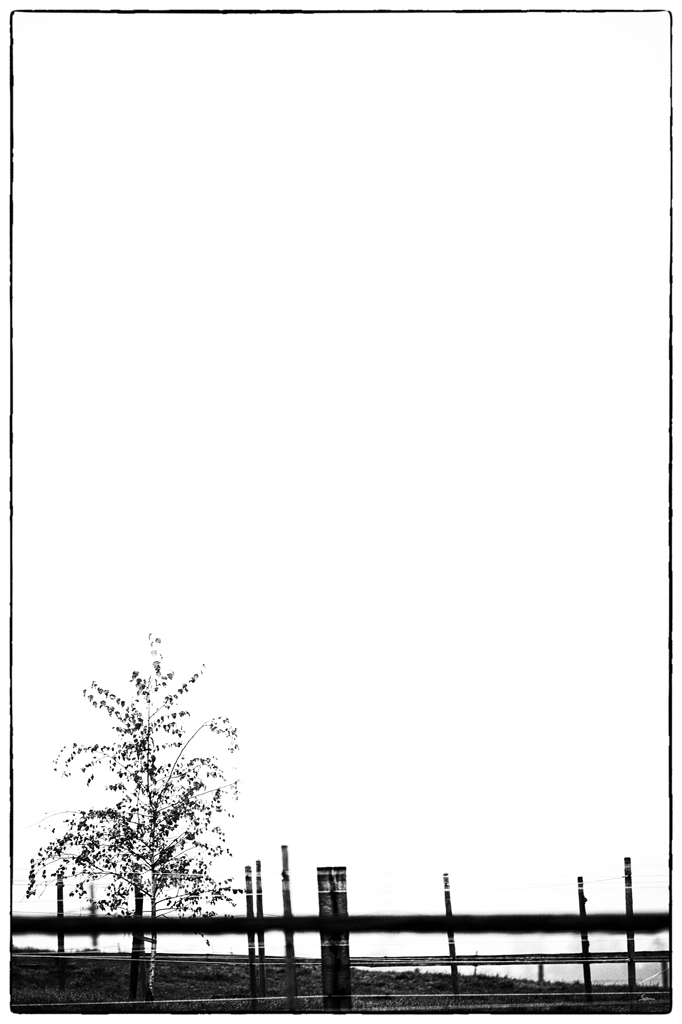 MorgenPZ1 3104