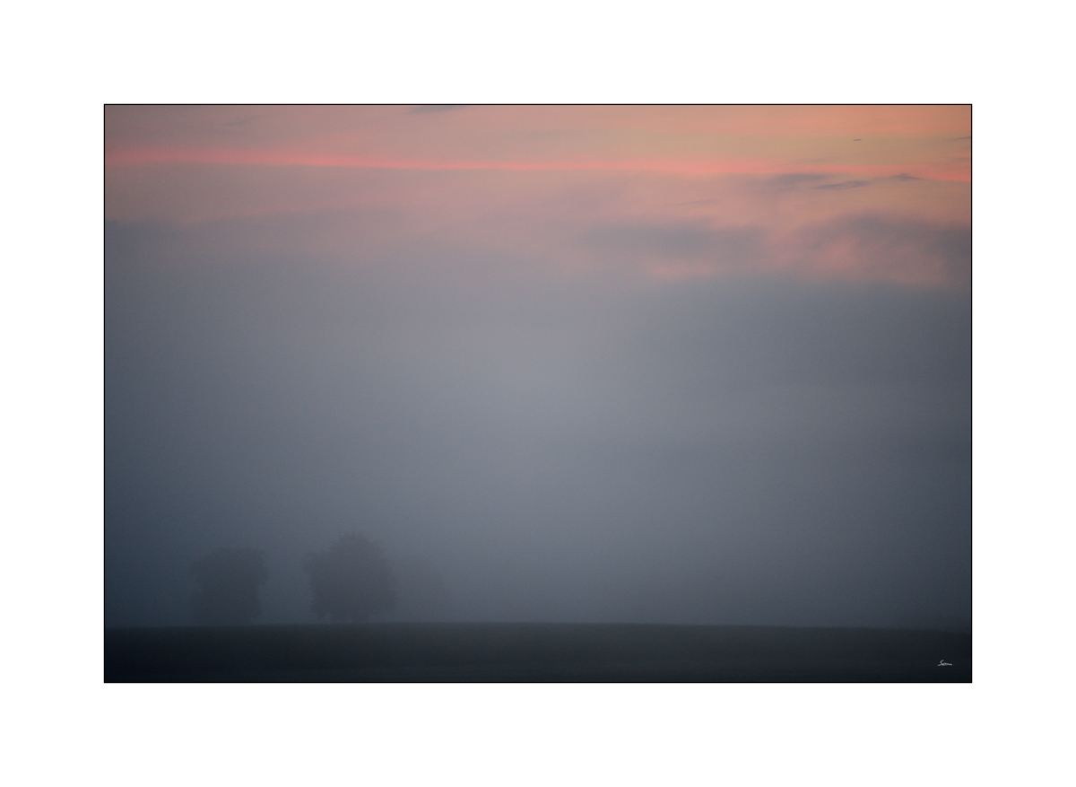 MorgenPZ1 3118