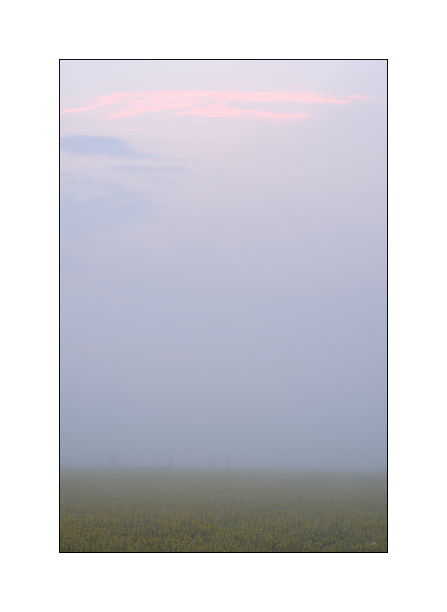 MorgenPZ1 3896