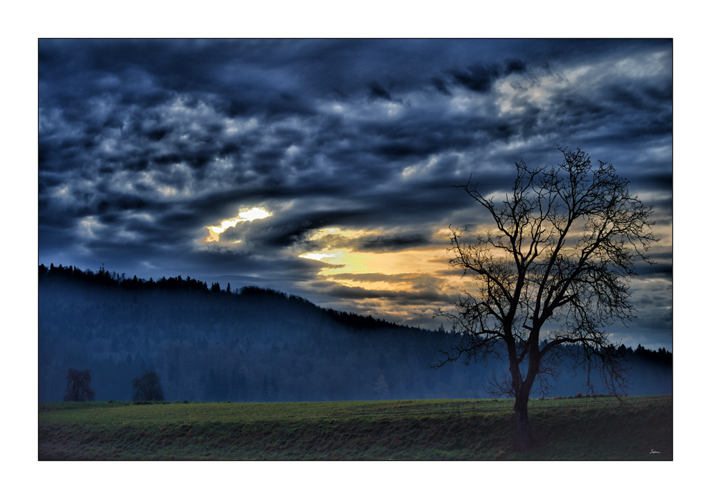 MorgenPZ1 4240