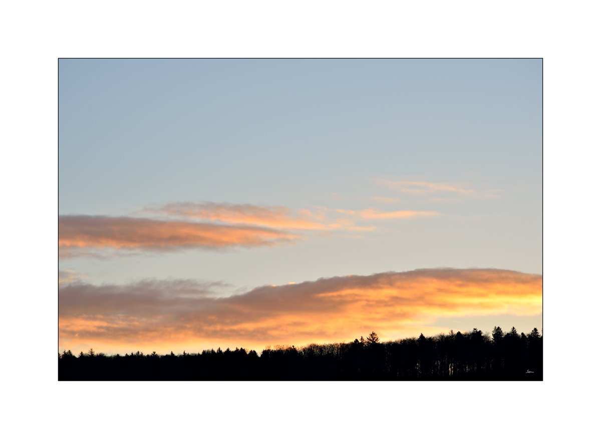 MorgenPZ1 4917
