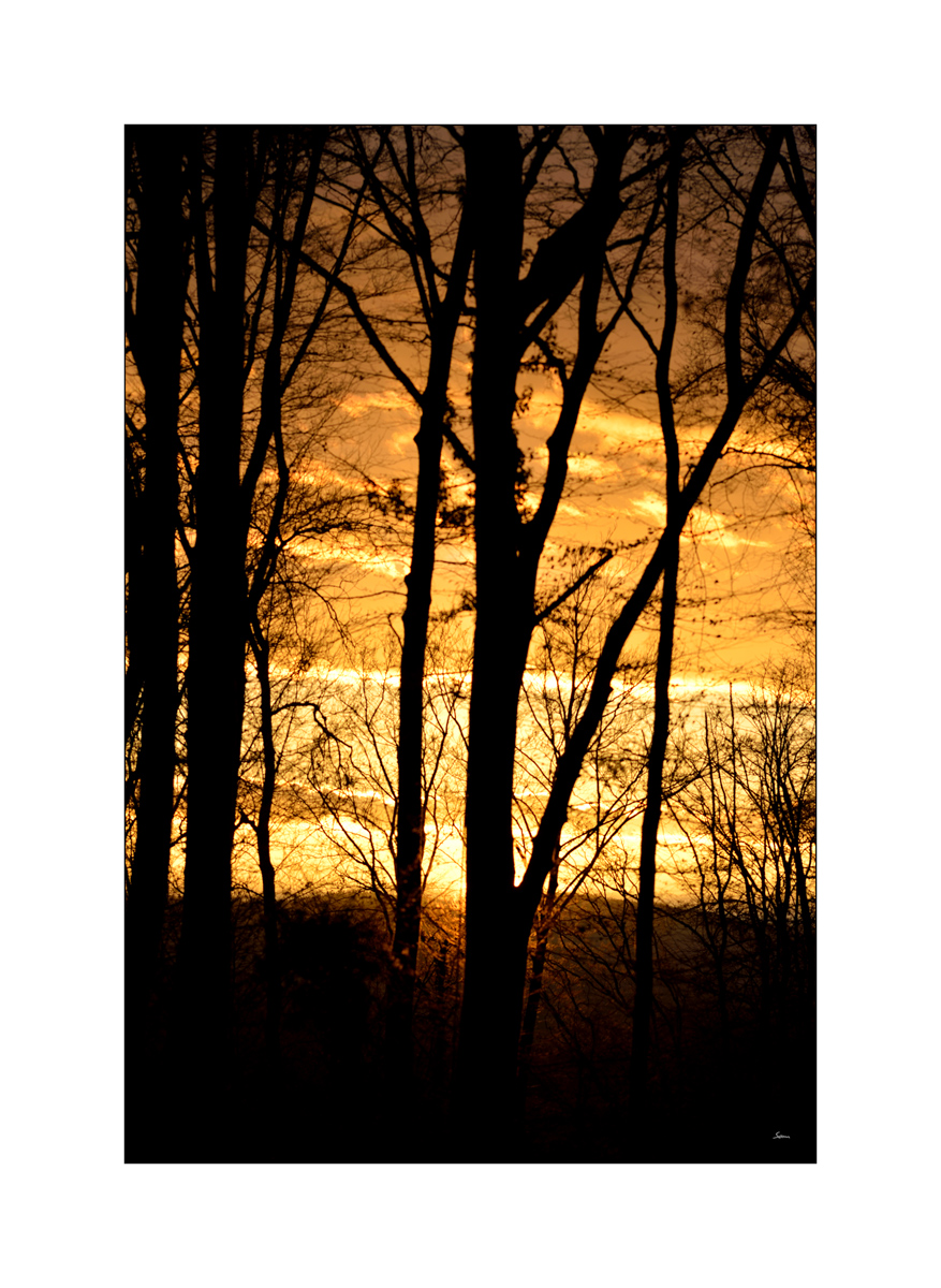 MorgenPZ1 4962