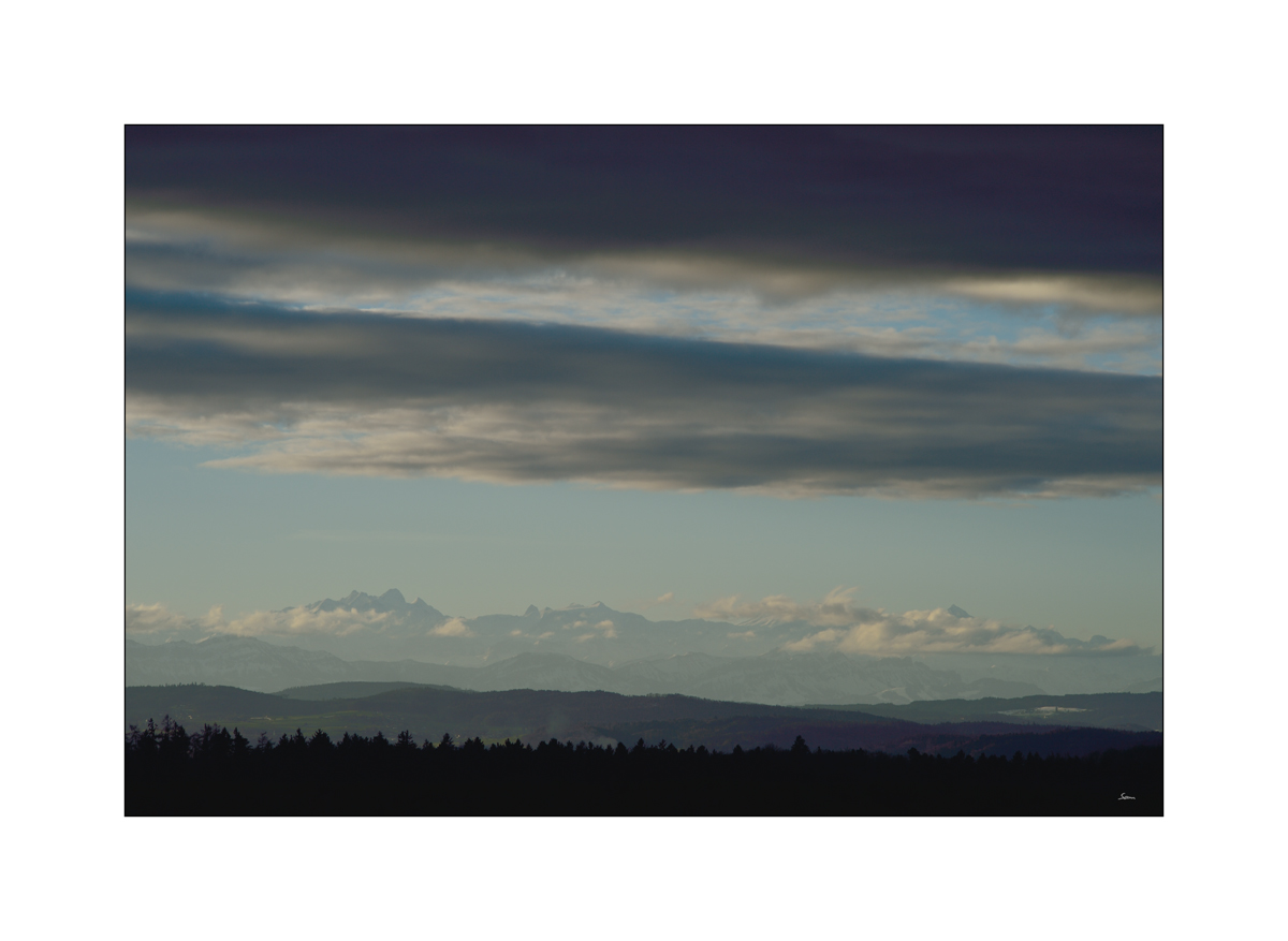MorgenPZ1 4984