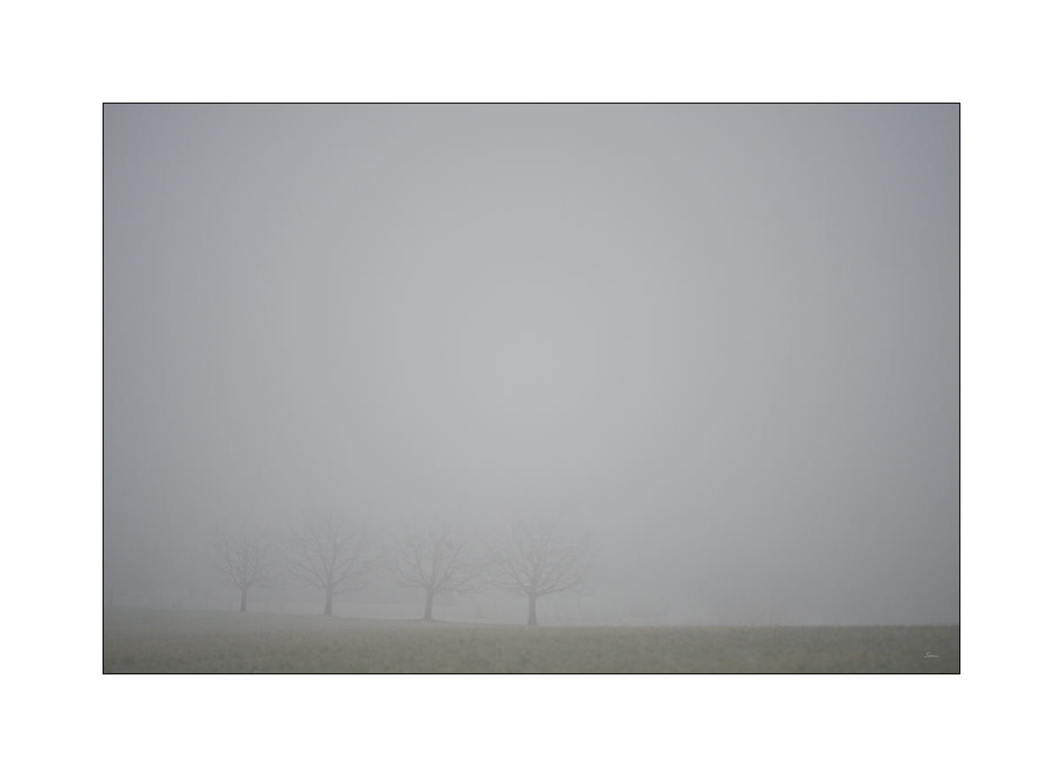 MorgenPZ1 5166