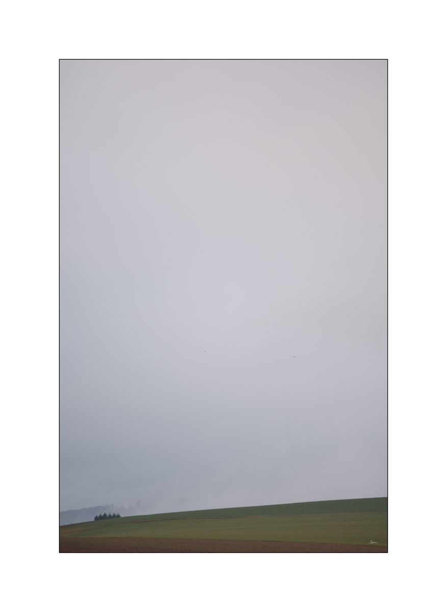 MorgenPZ1 5509