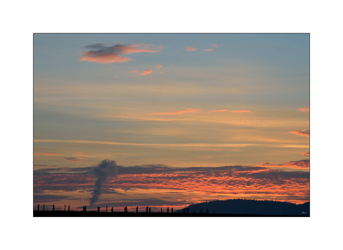 MorgenPZ1 5997