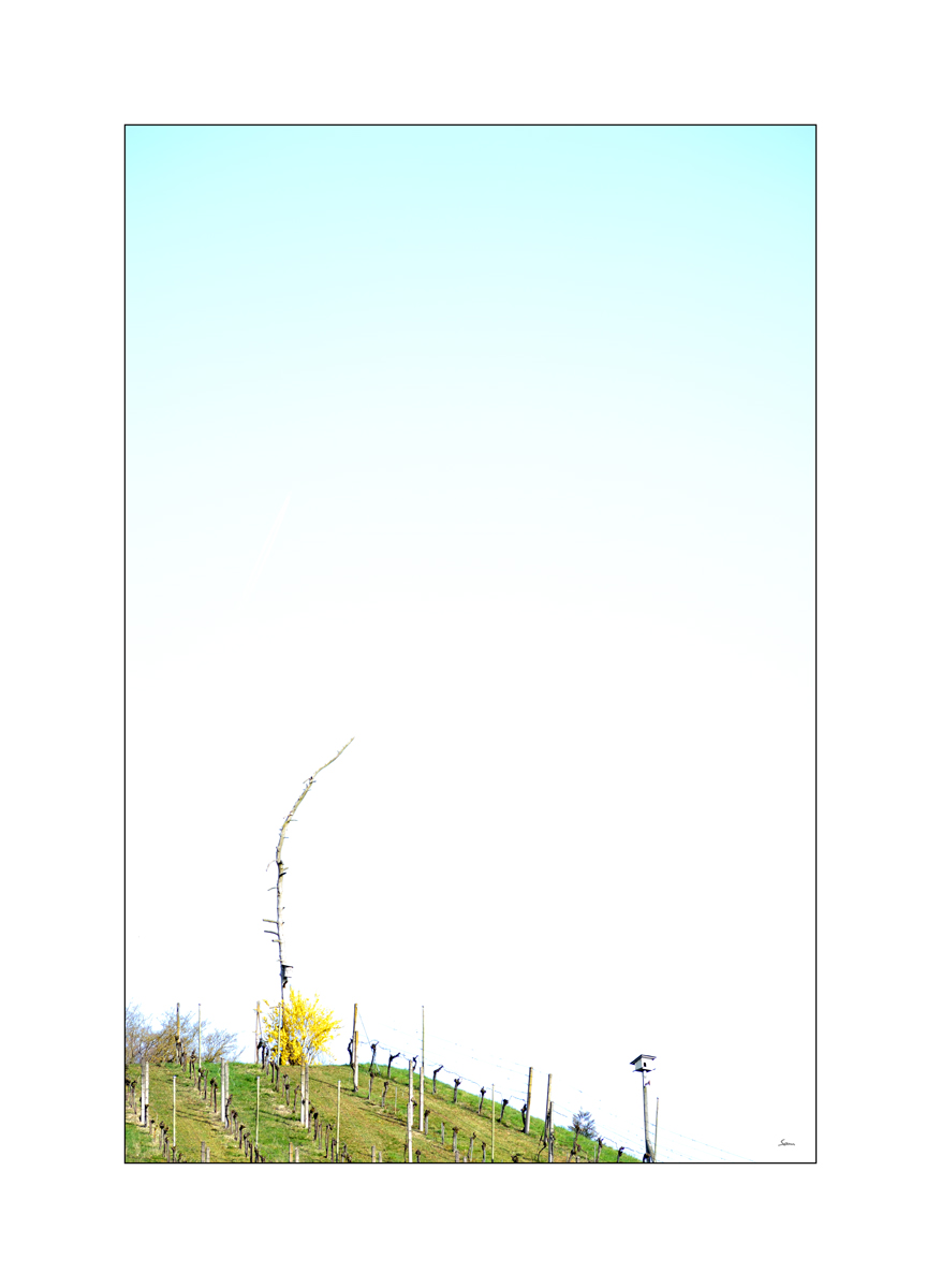 MorgenPZ1 6052
