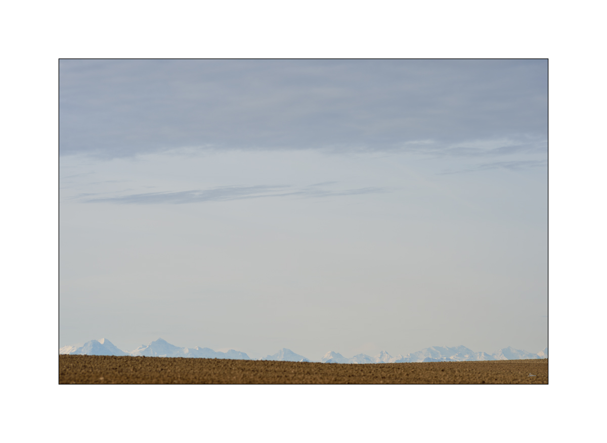 MorgenPZ1 6093