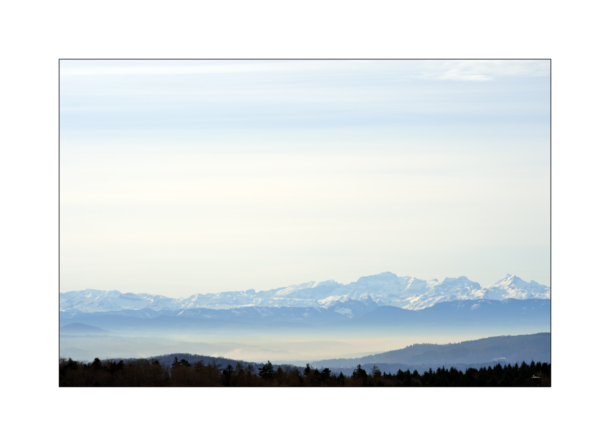 MorgenPZ1 6094
