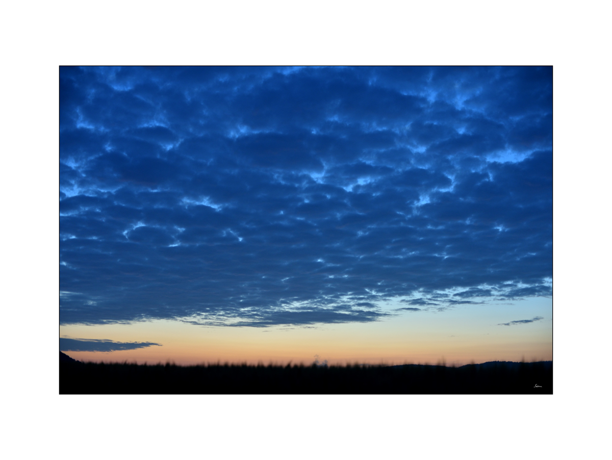 MorgenPZ1 6512