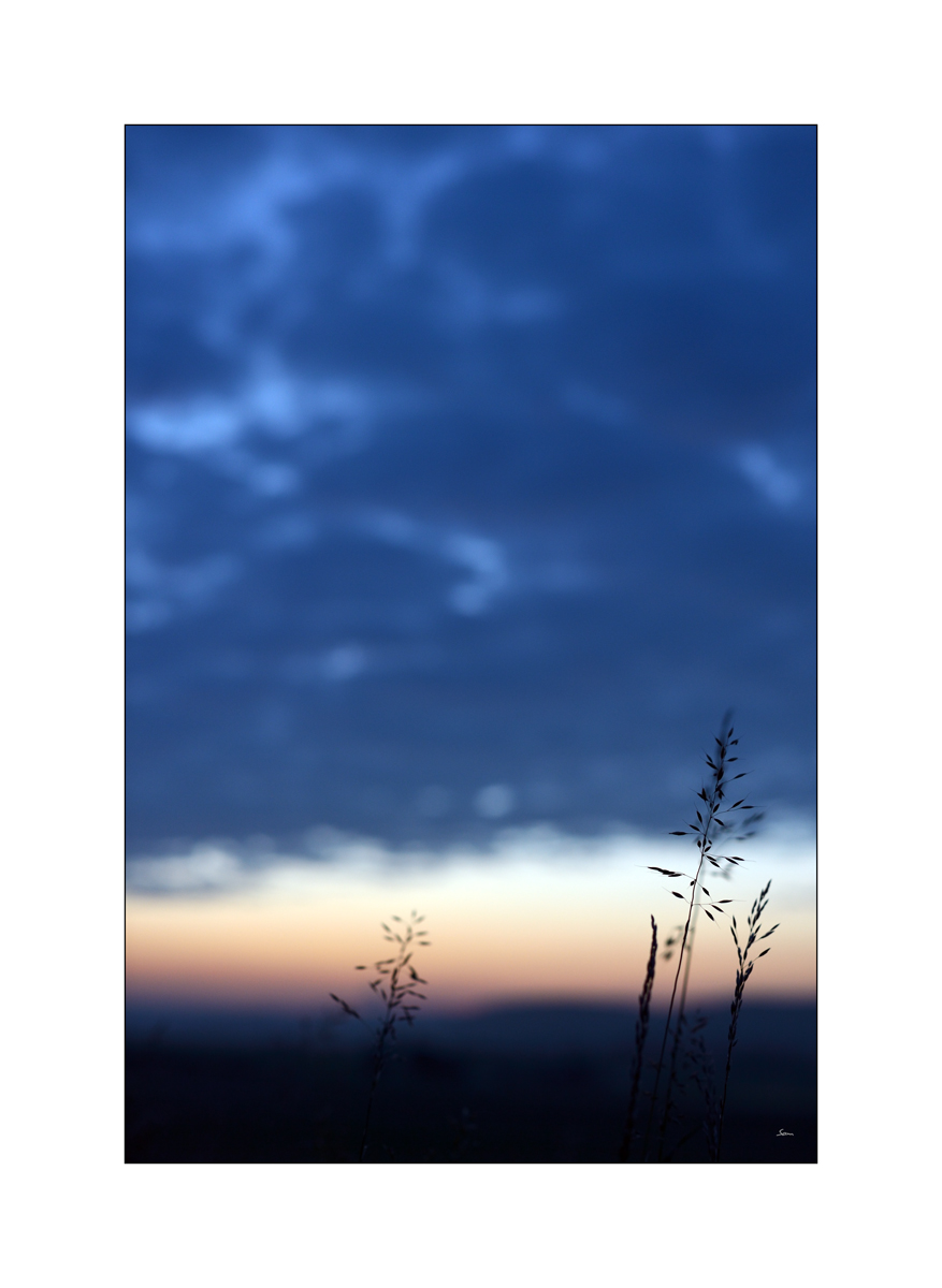 MorgenPZ1 6514