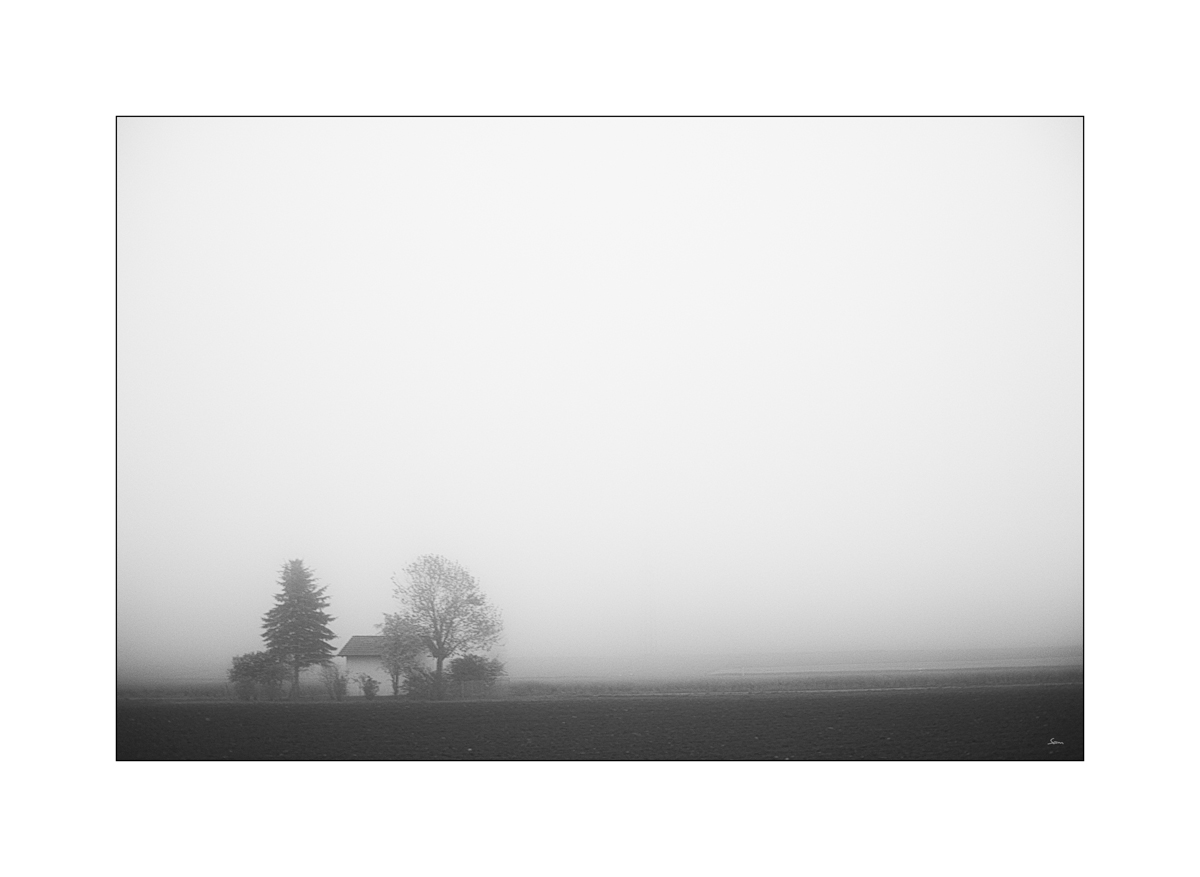 MorgenPZ1 6599