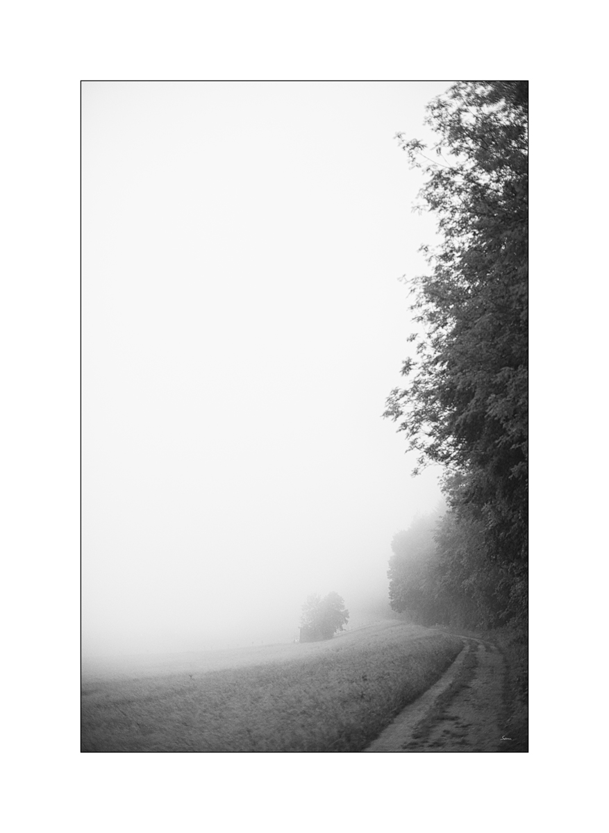 MorgenPZ1 6602