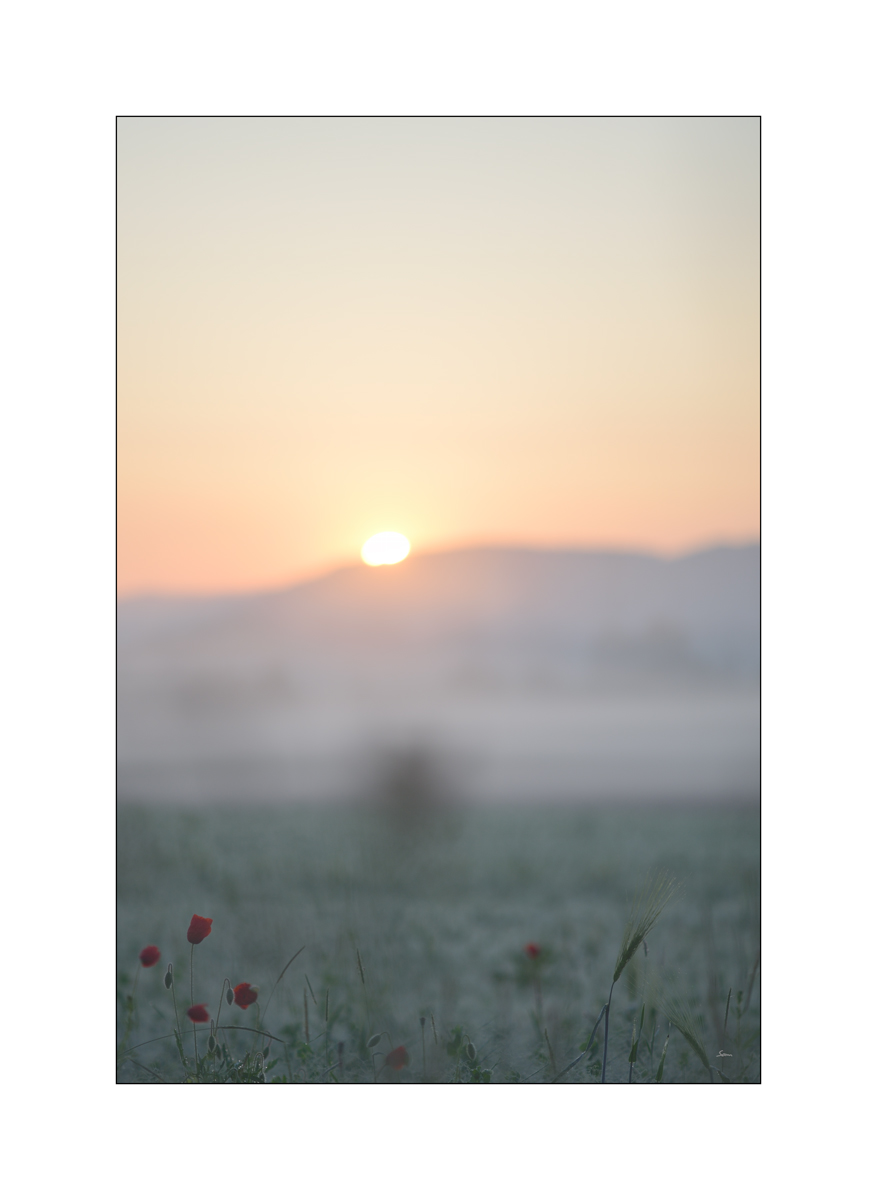 MorgenPZ1 6809