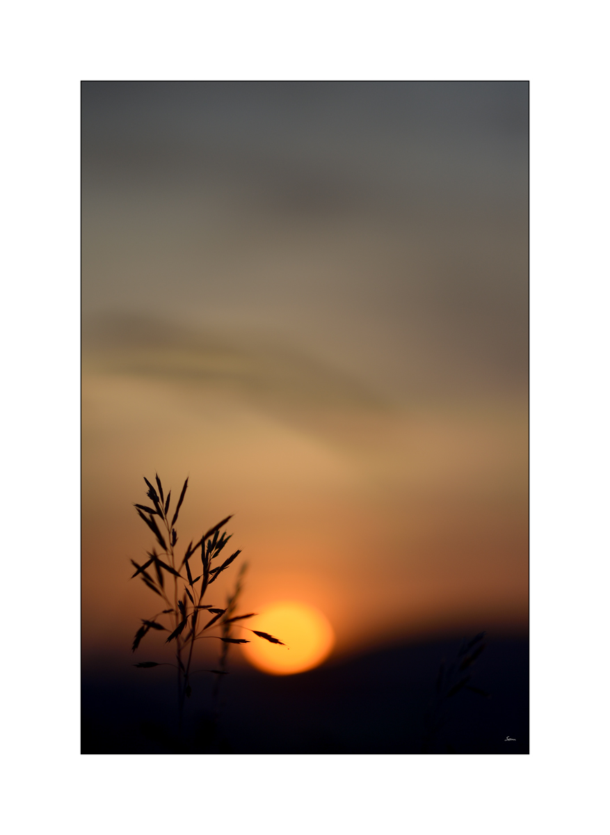 MorgenPZ1 7114