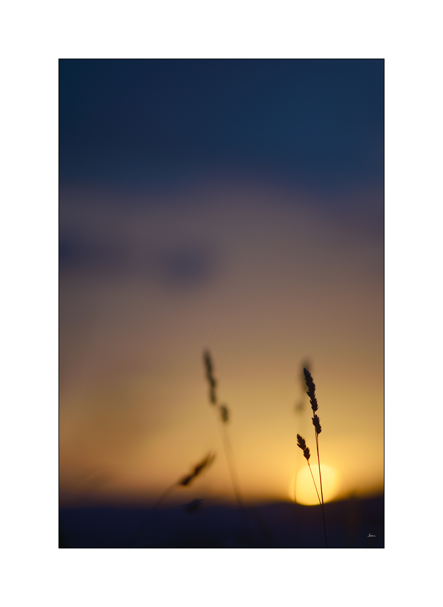 MorgenPZ1 7122