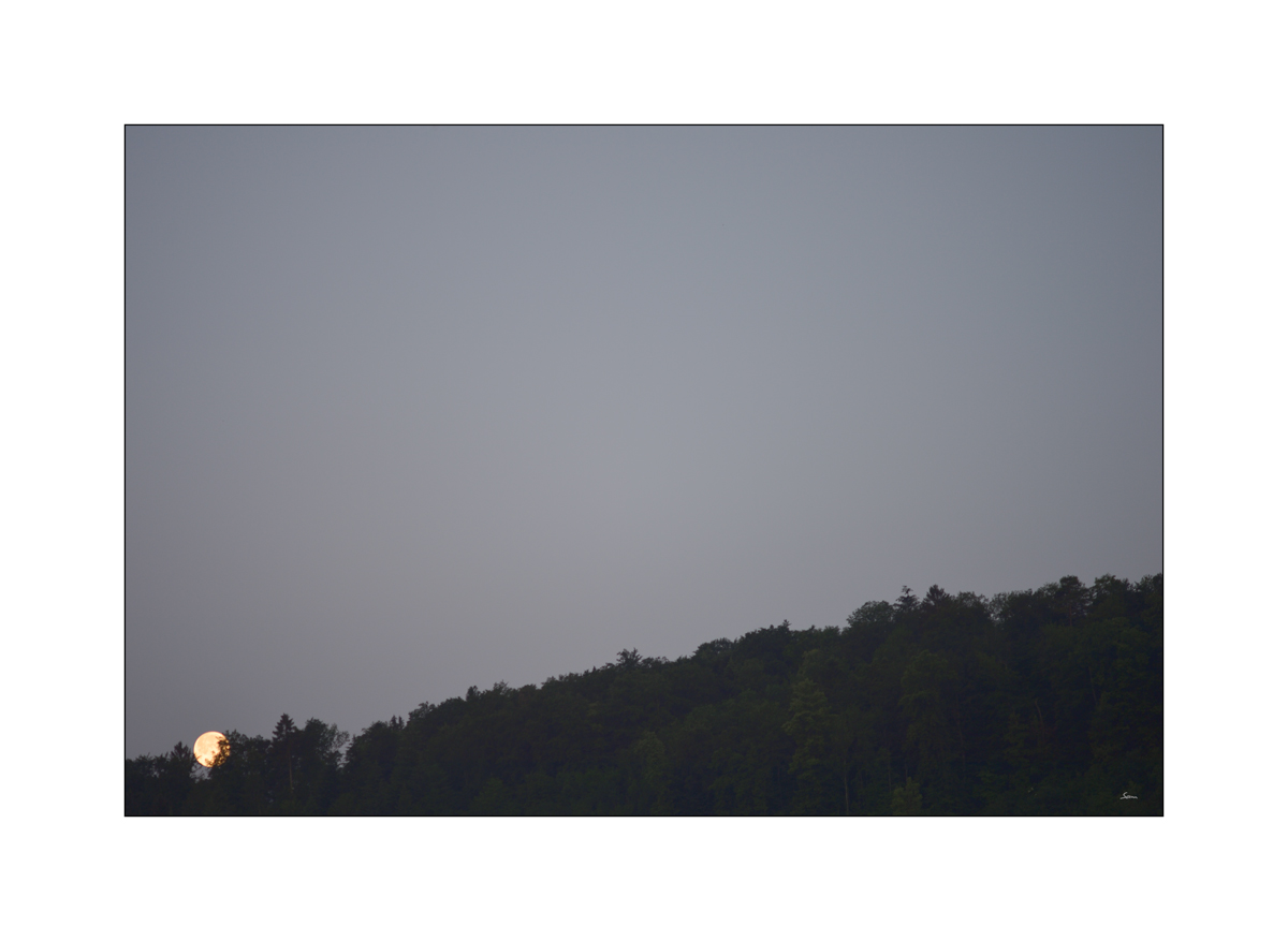 MorgenPZ1 7130
