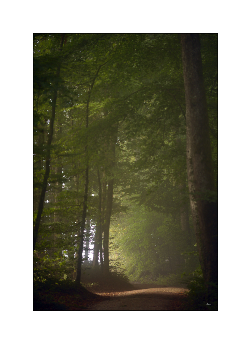 MorgenPZ1 8201