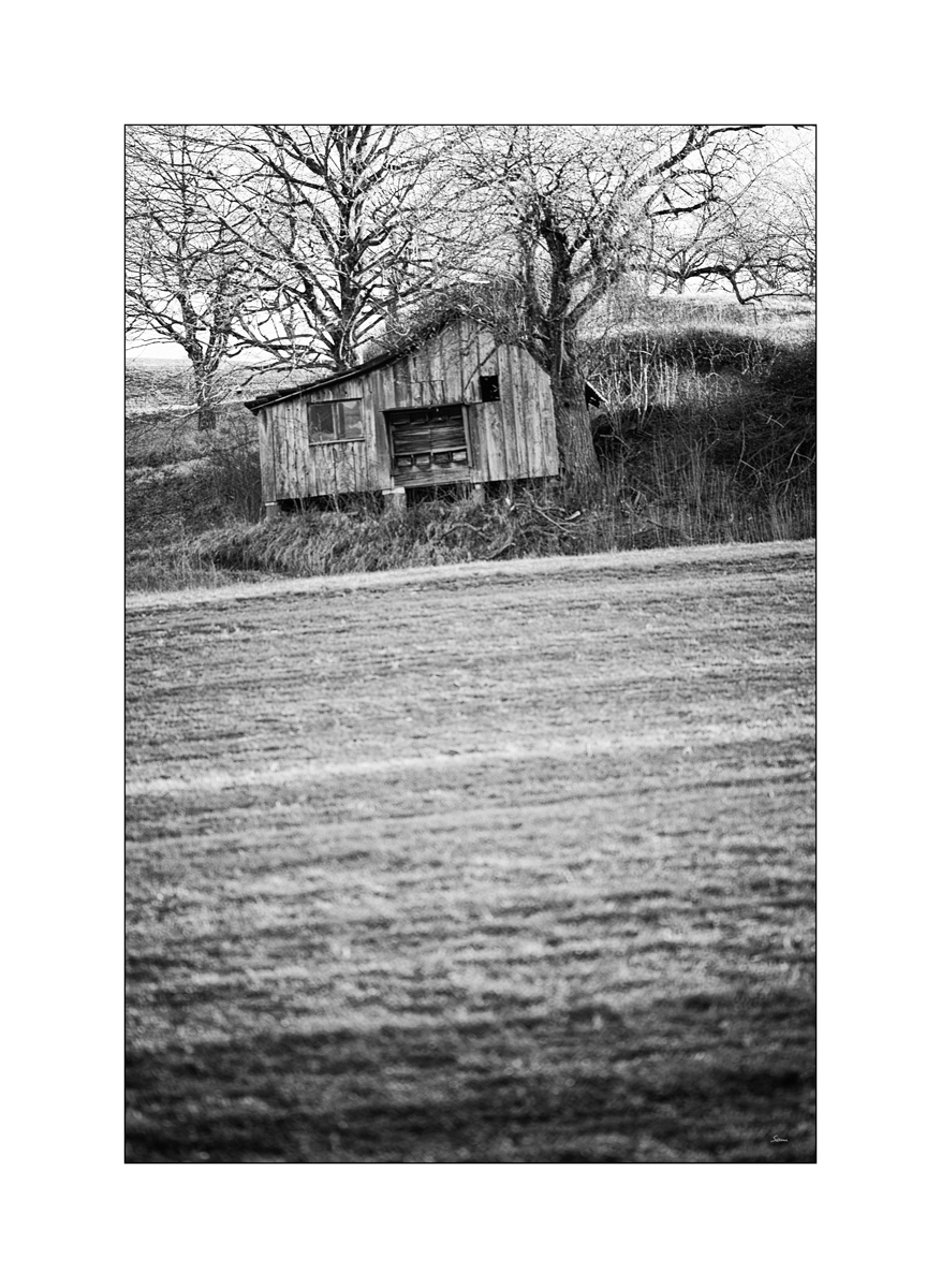 MorgenPZ1 9692