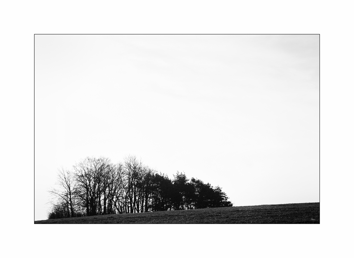 MorgenPZ1 9731