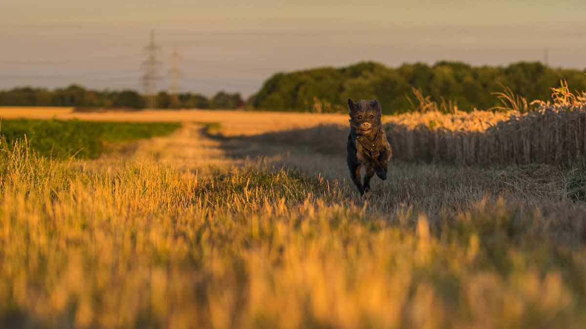 MorgenrundeKlein 6