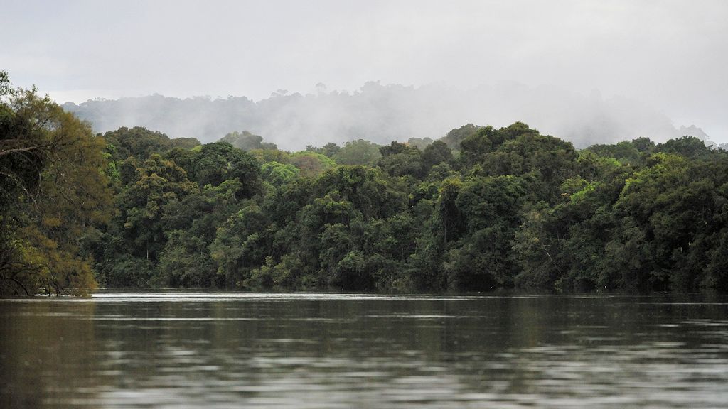 Morgens auf dem Essequibo
im Iwokrama Rainforest
1147