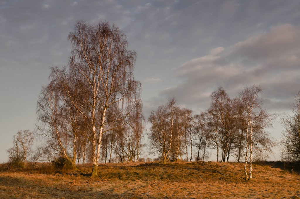 morgensonne