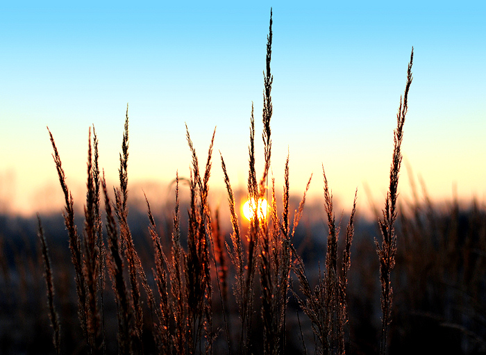 Morgensonne