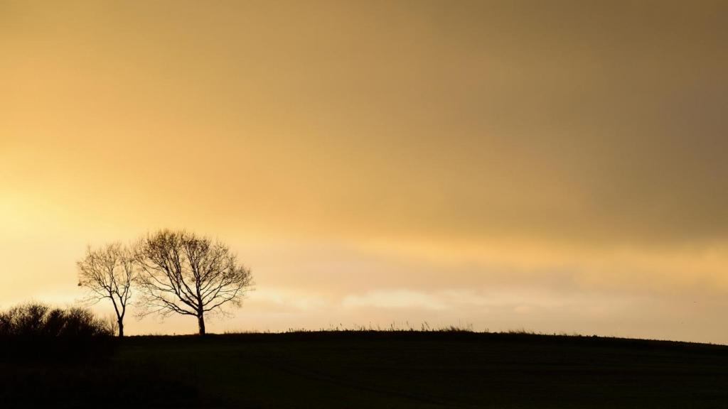 Morgensonne