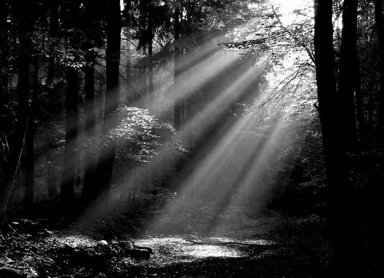 Morgensonne...