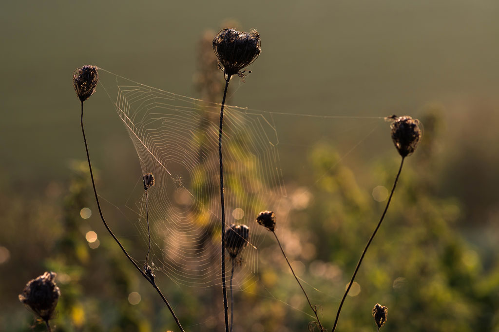 morgenspaziergang 3