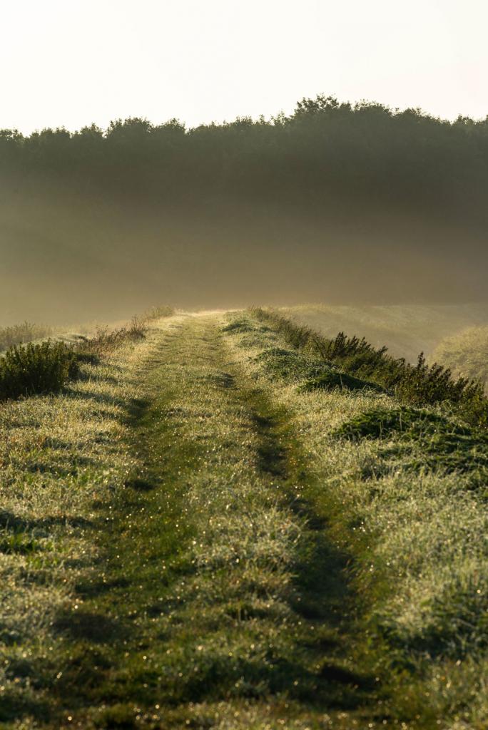 morgenspaziergang 5