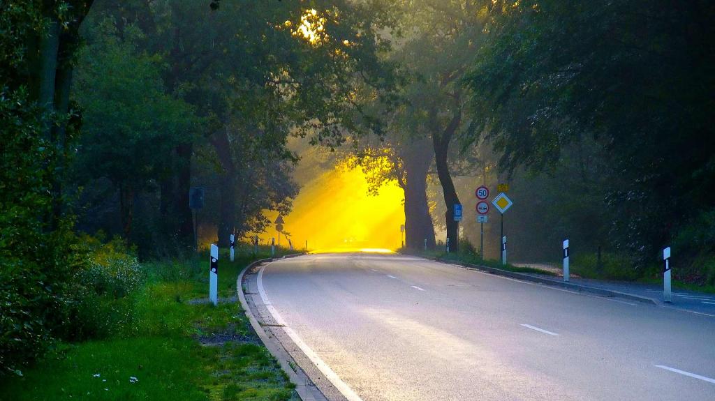 Morgenstimmung
