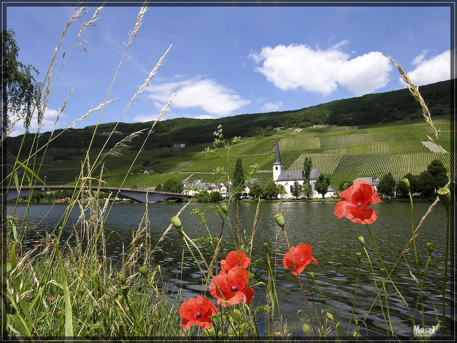 Mosel 1