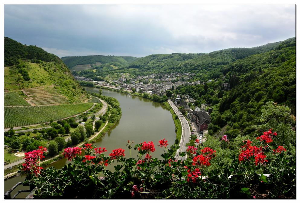 Mosel