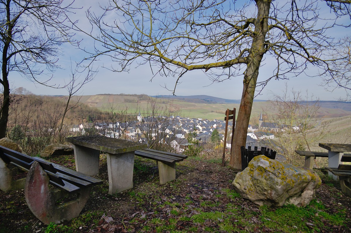 mosel_DSC_3690.jpg
