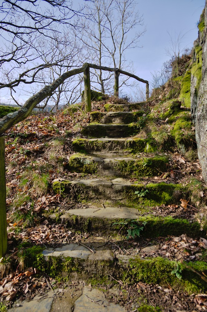 mosel_DSC_3736.jpg