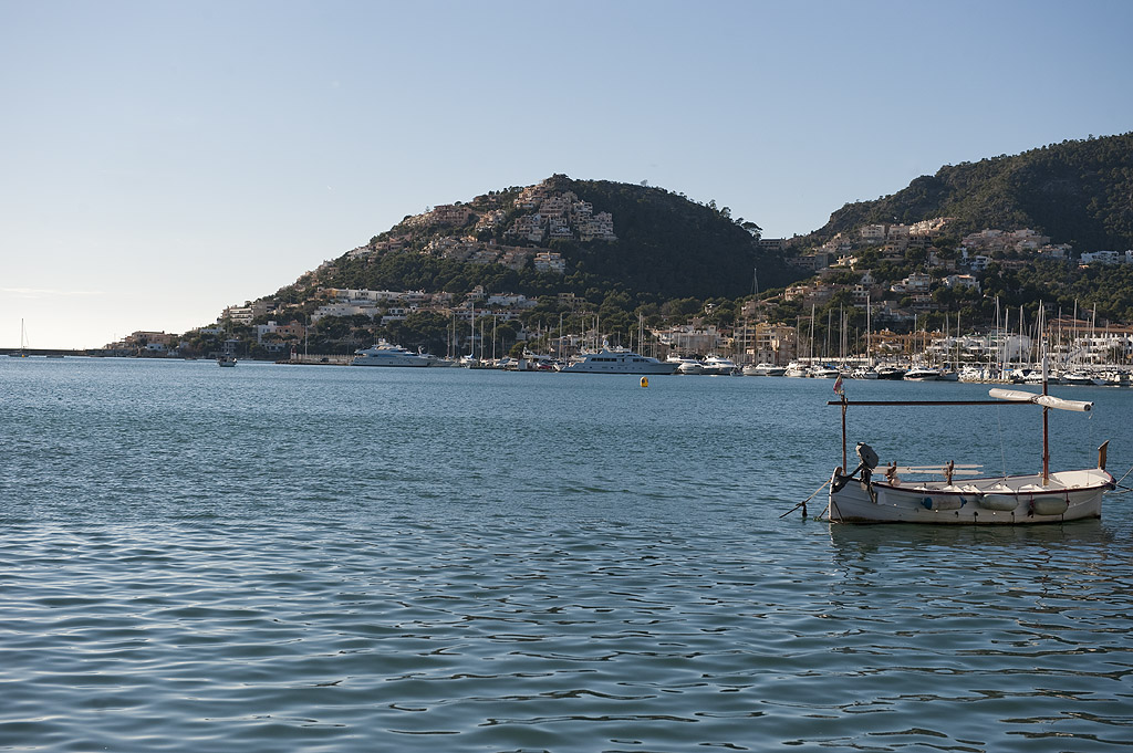 MOT10462