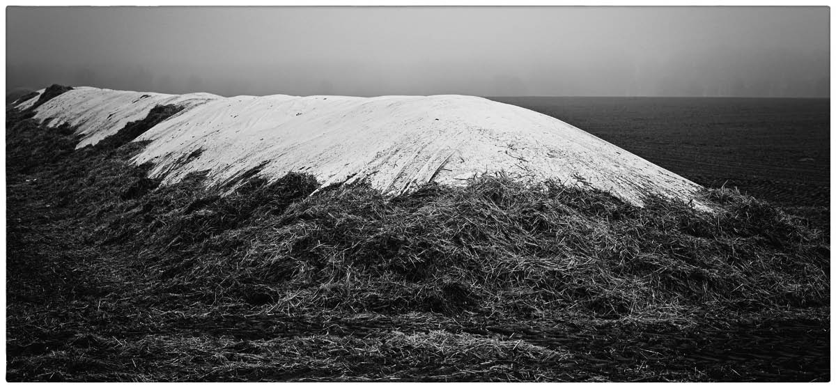 Mount Potato BW.jpg