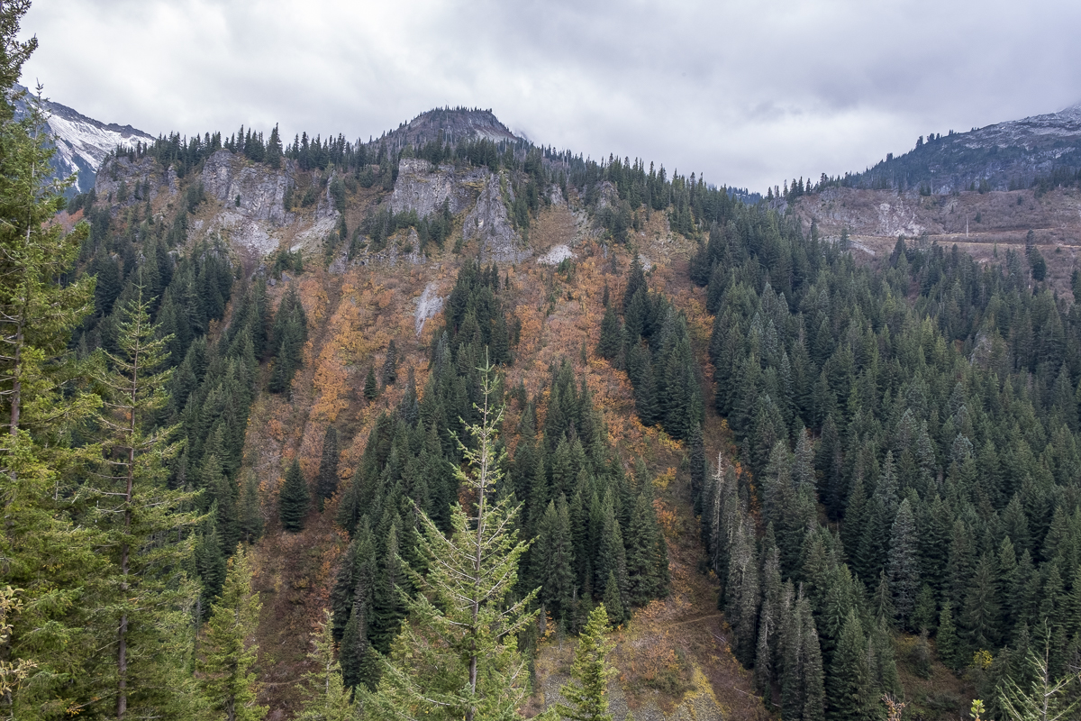 Mount Rainier NP.jpg