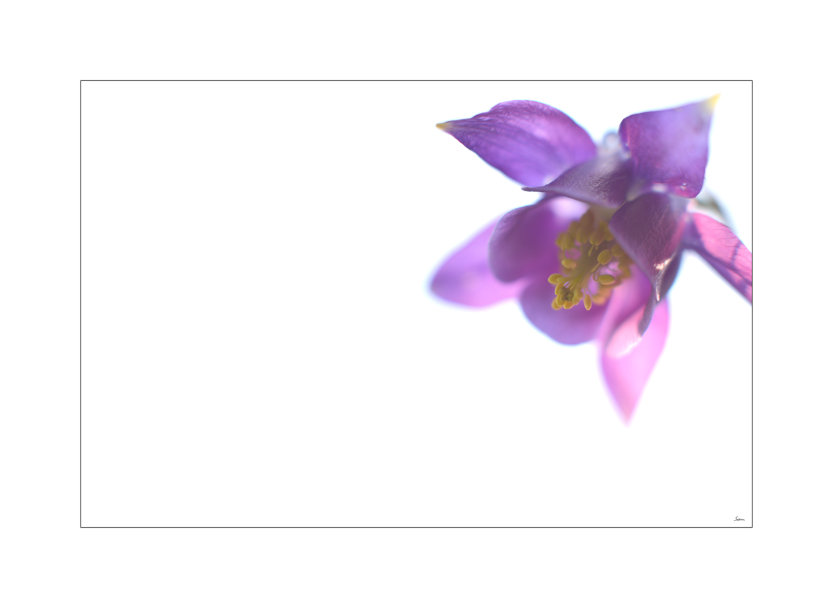 MozartPZ1 4115