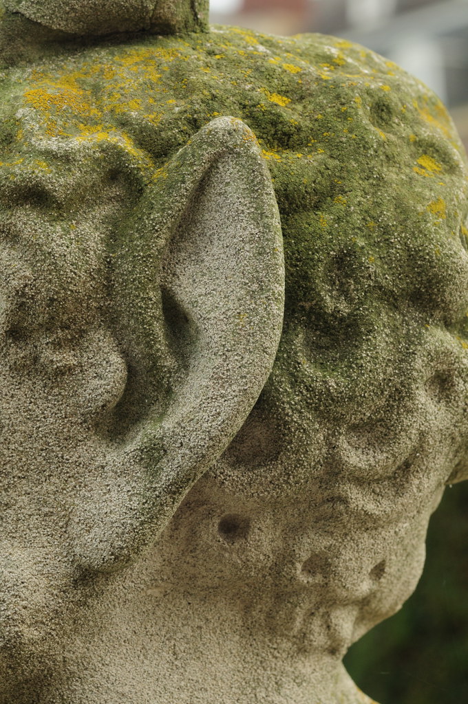 Mr. Spock? (D300; 90/2.8; MHX 0063cnxX)