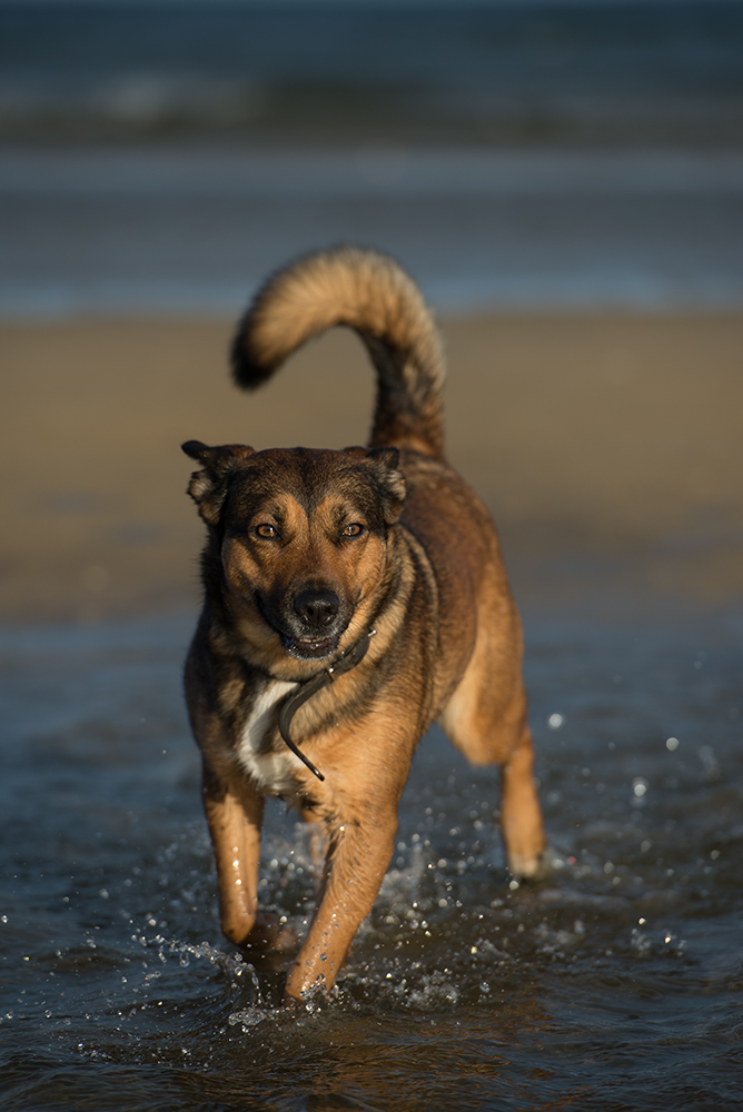 mrvi am strand